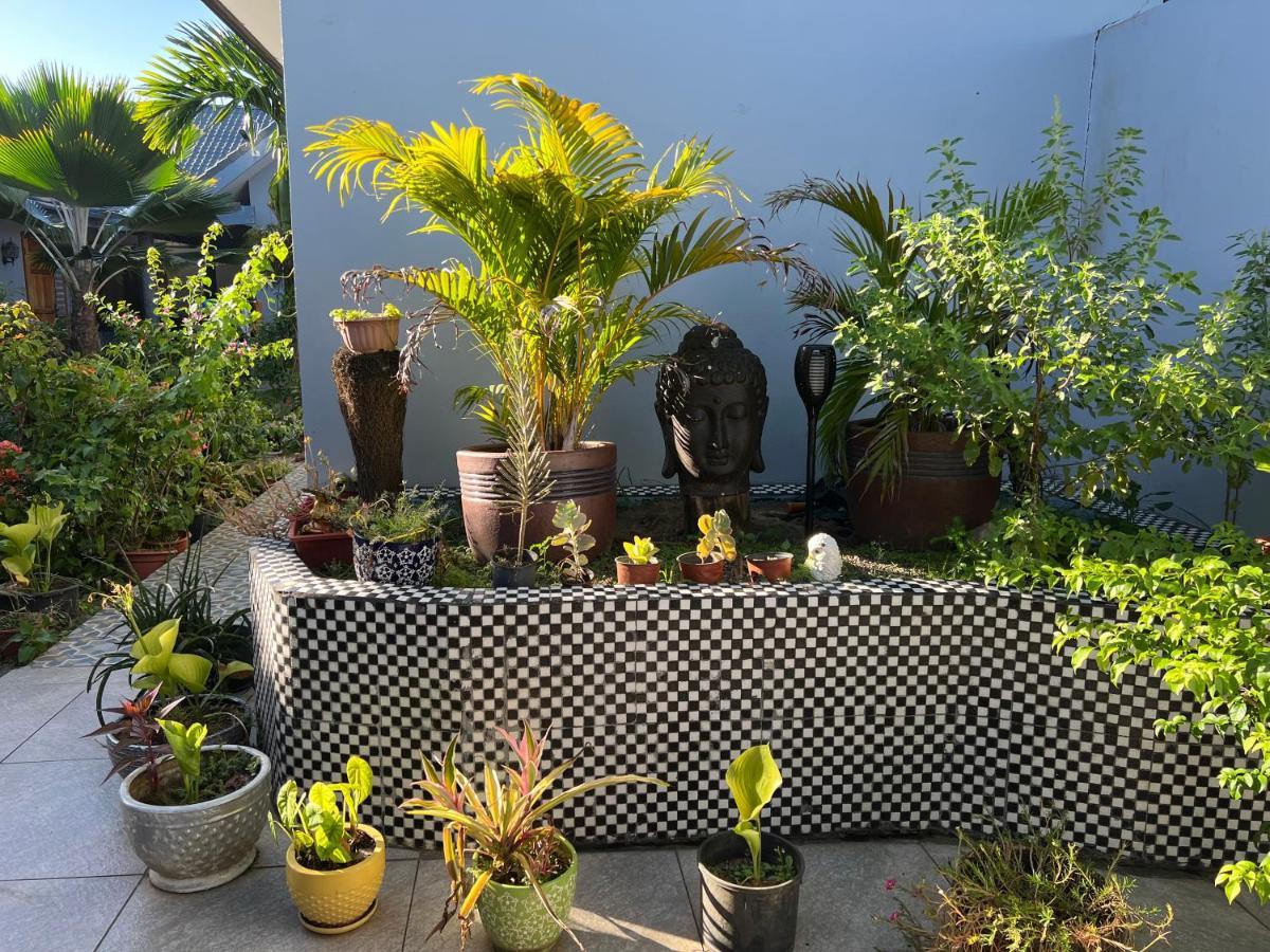 Pasifika Guesthouse Nadi Luaran gambar